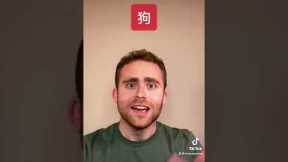 Proof That Chinese is the Easiest Language