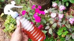 Natural Organic pesticides for plants | Organic pesticide for beginners