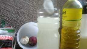 Homemade Insecticide for Plants (With English Subtitle)