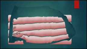 Learning words Part 4