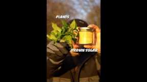 Ferment plants to extract minerals and nutrients (FPJ)! #short #shorts #FPJ #fermentedplantjuice