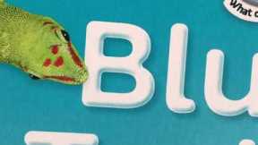 My basic homeschooling essentials