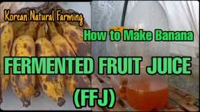 Korean Natural Farming | How to Make Banana Ferment Fruit Juice (FFJ)