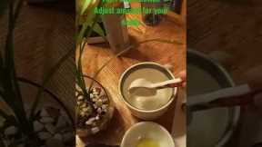 Easy DIY natural bug spray for plants and vegetable garden 🪴 🍅 🥒 | sustainable | organic garden