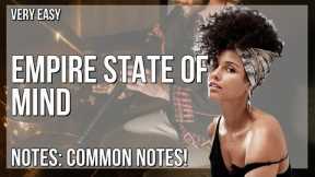 How to play Empire State of Mind (Chorus Melody) by Jay Z ft Alicia Keys on Tin Whistle (Tutorial)