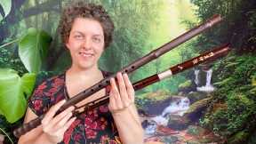 A casual introduction to the xiao - chinese bamboo flute