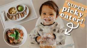 What My *SUPER* Picky 1 Year Old Eats in a DAY! + My secret to getting him to eat a variety of foods