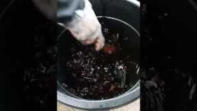 Making of Fermented Plant Juice (FPJ) for plants & animals #organicfarming #shorts