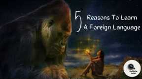 5 Reasons To Learn A Foreign Language