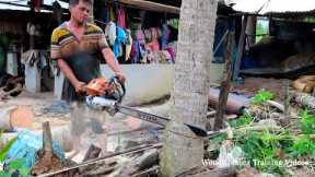 Incredible STIHL Chainsaw MS720 Felling Down Coconut Trees! Cut Down The Tree Quickly And Easy