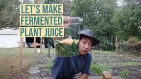 Let's Make Fermented Plant Juice