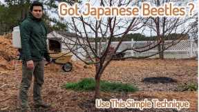 How To Control Pests In Your Garden | DIY Natural Chemical Free Organic Spray | Permaculture Garden