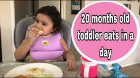 what my 20 months old toddler eats in a day|Healthy meal ideas for 16-20 months old