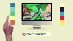 Online HomeSchooling COURSE DEMO from Premiere Christian Academy