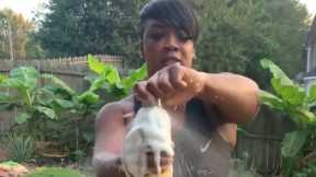 How To Make Homemade Fermented Juice|The Raina’s Kitchen