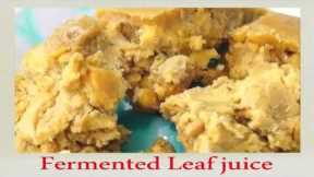 Natural Farming-How to prepare Fermented Leaf Juice