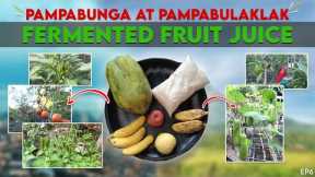 HOW TO MAKE FERMENTED FRUIT JUICE | FOLIAR FERTILIZER l AML EP06