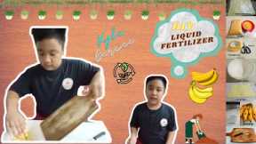 How to make Liquid Fertilizer or Fermented Fruit Juice from Banana