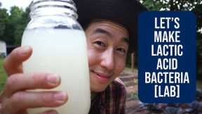 Let's Make Lactic Acid Bacteria [L.A.B]