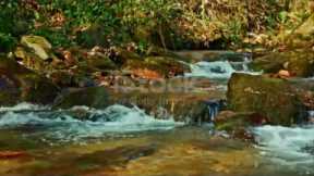 relaxing music || meditation music || breathing exercise #relaxing #breathofthewild #meditation