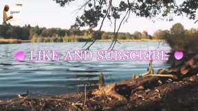 Relaxing with Japanese Bamboo Flute, Guzheng Erhu, Musical Instrument Collection, Deep Calm Sleep