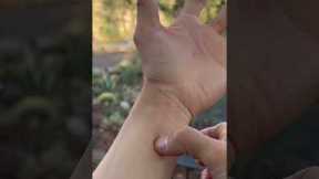 Release Gas in the Body, Support Digest System | Press this Acupressure Point (PC6) Daily #shorts