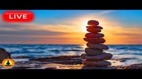 🔴 Relaxing Music 24/7, Stress Relief Music, Sleep Music, Meditation Music, Study, Calming Music