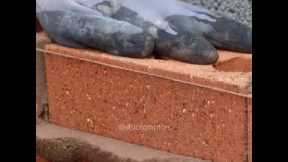 Brick Masonry Construction Videos⁦▶️⁩👈🔔🙏 subscribe
