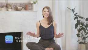 Breathing Series | Dentist Visit | Calm