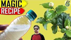 BEST ORGANIC PESTICIDE FORMULA | Home made Pest Control Recipe