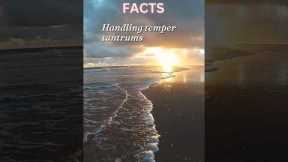 Mastering the Art of Handling Temper Tantrums: Expert Tips and Strategies for Parents