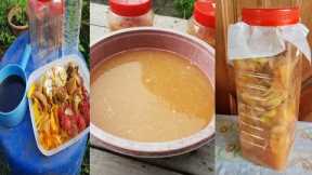 Making liquid fertilizer at home / Eco enzyme liquid fertilizer