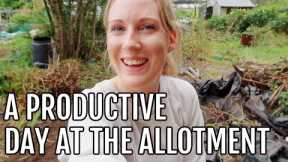 A PRODUCTIVE DAY AT THE ALLOTMENT / ALLOTMENT GARDENING FOR BEGINNERS