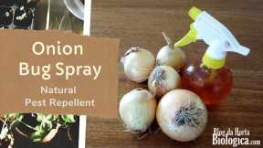 Onion Bug Spray - Natural Pest Repellent