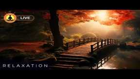 🔴 Relaxing Zen Music 24/7, Stress Relief Music, Sleep Music, Meditation Music, Study, Calming Music