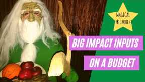 EZ How-To Make FFJ (Fermented Fruit Juice) Fertilizer (Part 1)