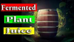 The Ultimate Guide to Making Natural Fertilizer with Fermented Plant Juice (FPJ)