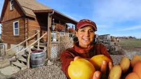 NEVER Throw away ORANGE OR LEMON SKINS! 5 uses from the Homestead