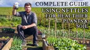 Amazing Way to Use NETTLES to Improve Seedling Success