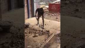 Can you tell he gets paid by the hour #apprentice #construction