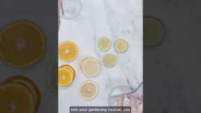 Benefits of Fermented Fruit Juice in Plants | Health Tips #shots #fermented #informative#fruitjuice