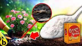 Put Baking Soda On Your Garden And See What Happens