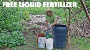 Creating a New Batch of Fermented Plant Juice AKA Dave's Fetid Swamp Water (TM)