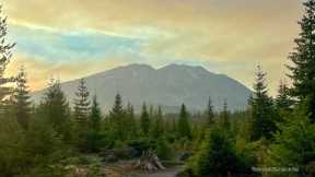 Guided Meditation:  Living Presence - Tara Brach