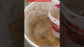 fruit fermented juice giving to plants 🌱🌱🌱