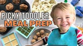 What My Toddler Eats in a Week (vegan meal ideas!)