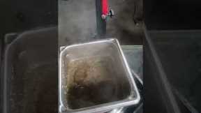 making bug repellent for the plants upgraded recipe