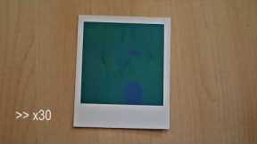 Timelapse: How a Polaroid Image develops