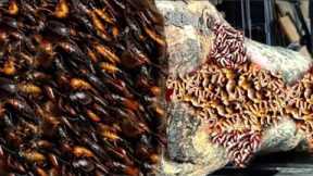 surprising super teak wood processing extraordinary unexpected discovery sawmill