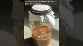 🌱 Making Potent #FFJ Inputs for #KNF: #OrganicFarming Made Easy 🧪🍌